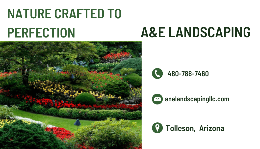 A&E Landscaping Hero Background